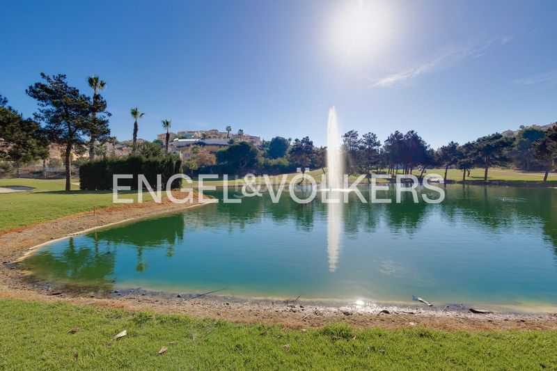 Foto d650c234-fee6-401b-a6a5-11c5cdf86245. Àtic amb calefacció aparcament piscina a La Marquesa Rojales