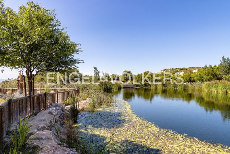 Foto dfa6c9a9-b2df-48e6-acb9-3d04e112479f. Àtic amb calefacció aparcament piscina a La Marquesa Rojales