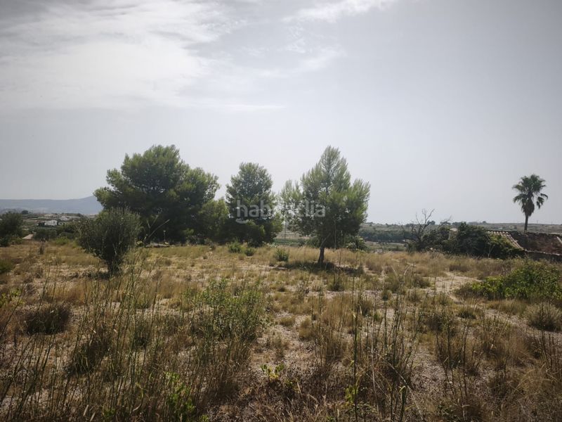 Foto b0f71cc2-a842-4e44-b46c-beb916a7644b. Terreny residencial a Benissa pueblo Benissa
