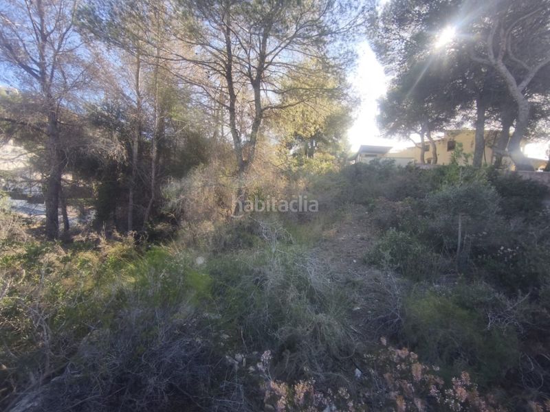Foto bcdaad8a-a055-42dc-9266-8696e344bd6c. Wohngrundstück in Teulada