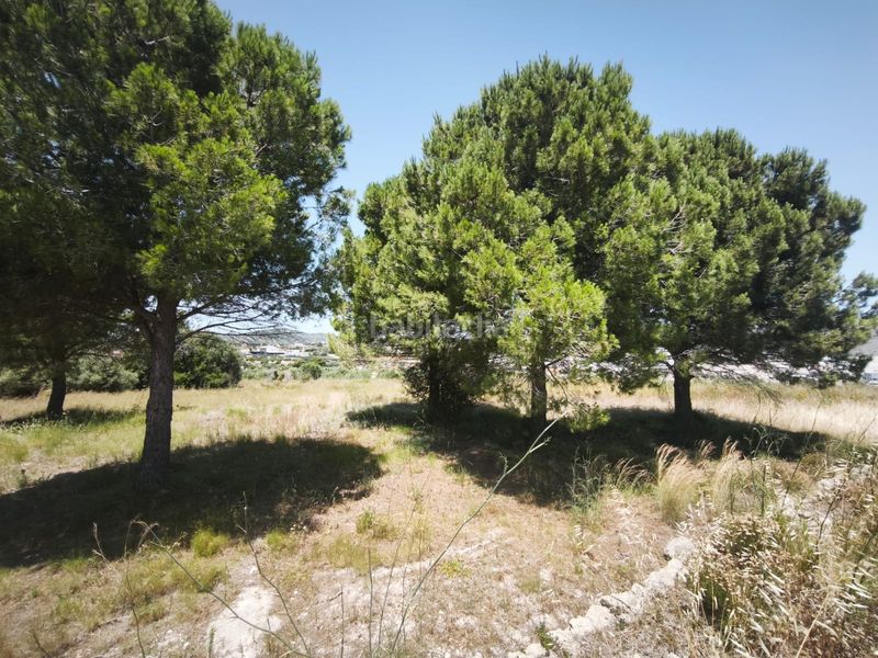 Foto 01dc86ee-65f4-4f8a-b5f2-3715a67ec4a0. Masia a Montroi / Montroy