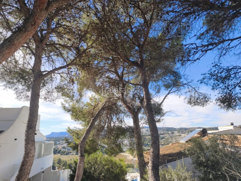 Foto 78399f32-d881-448b-a84f-88e3d8b47b45. Terreny residencial a Teulada