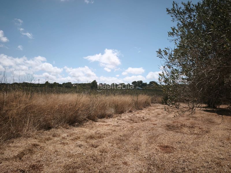 Foto c48d09ed-1bd5-4be9-8df6-94b332266227. Terreno residencial en Teulada