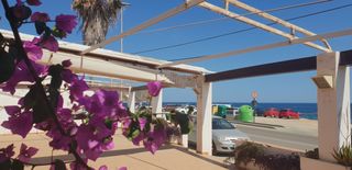 Lloguer Local Comercial a Pinar de Advocat-Cometa