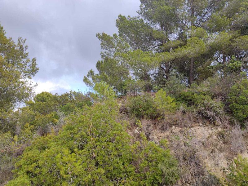 Foto ba988e2f-14ad-45db-bfe2-3789a86990fe. Terreny residencial a Benimeit-Tabaira Moraira