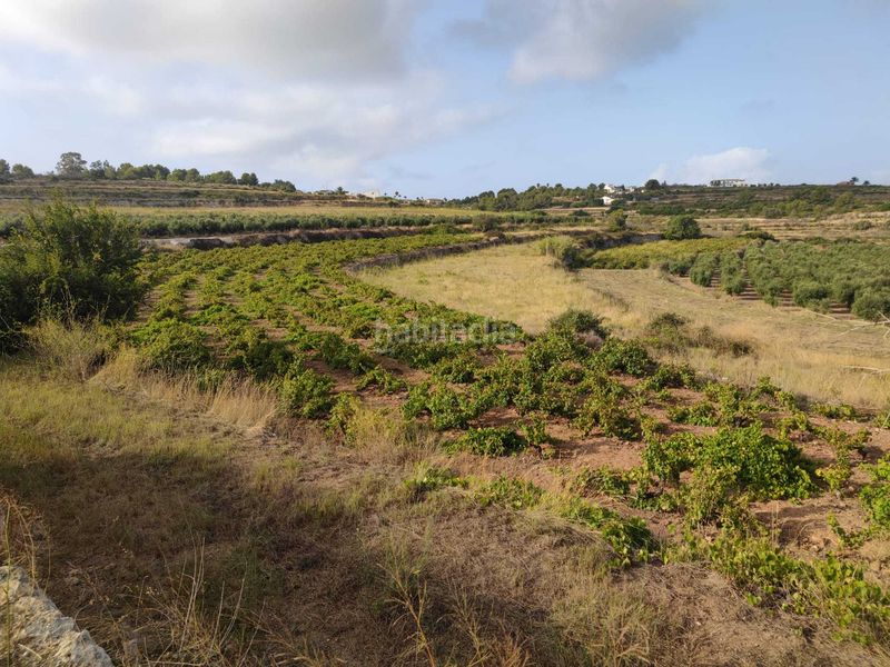 Foto 9764a7b7-c158-41e1-a1d6-c25290d002a2. Terreny residencial a Teulada