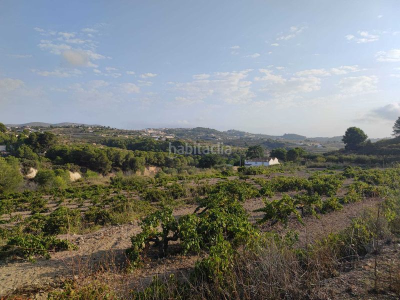 Foto af3a296f-712f-463c-8473-fd61a520c28e. Terreny residencial a Teulada