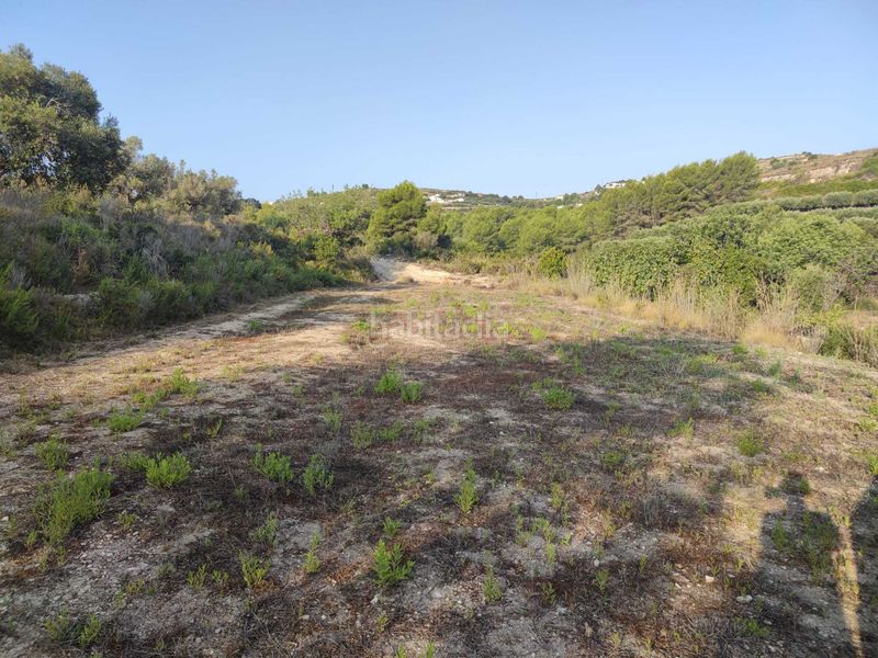 Foto c3eb135e-85ca-450f-b593-a008ef494c11. Terreny residencial a Teulada