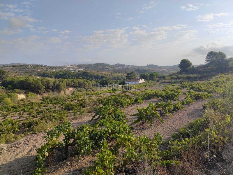 Foto 35c6a3b2-79ee-4a40-8ef0-4952c8ae71c2. Wohngrundstück in Teulada