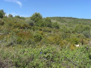 Terreny residencial a Les Fonts - Els Molins