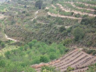 Residential Plot in Benissa Pueblo