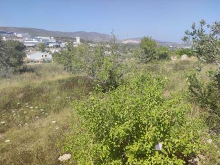 Terreny residencial a Benissa Pueblo