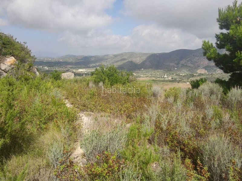 Foto 3693a0e2-af0d-420f-a686-a15d18272aad. Terreny residencial a Teulada