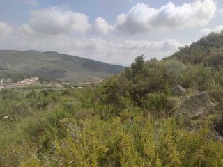 Residential Plot in Teulada