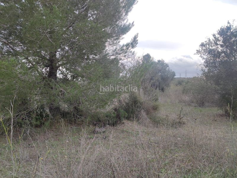 Foto 55efc8d2-f6f7-47e0-b93a-a953bd550f61. Masía en Teulada