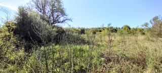 Rural plot in Manacor Centre