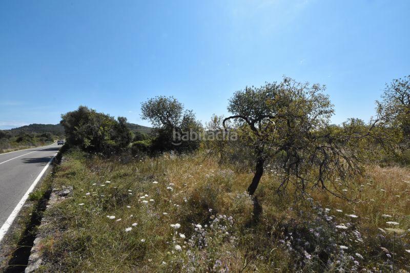 Foto 5651a85b-bb32-42c1-9806-b83005b4724b. Finca rústica a Canyamel Capdepera