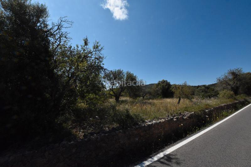 Foto 8af2f4f3-ffb7-4bff-a711-9ba5decb79cc. Finca rústica a Canyamel Capdepera