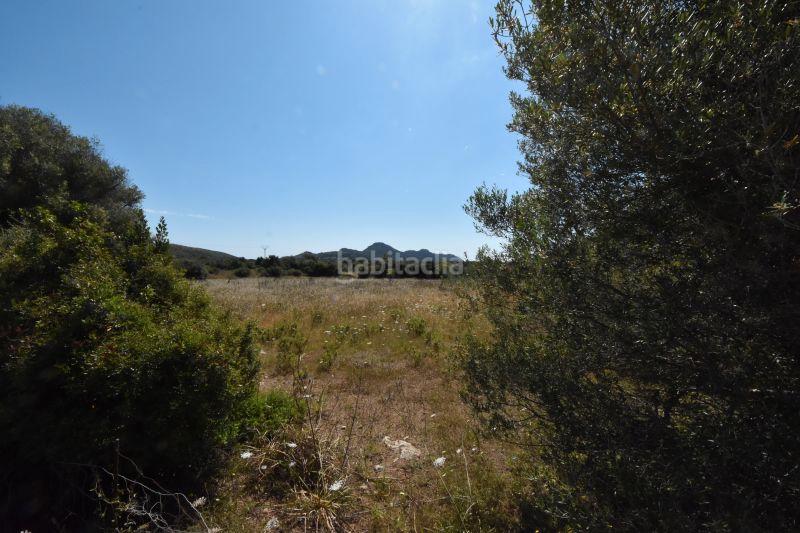 Foto f323caea-89ae-4a01-b59f-e81d9c112e11. Finca rústica a Canyamel Capdepera