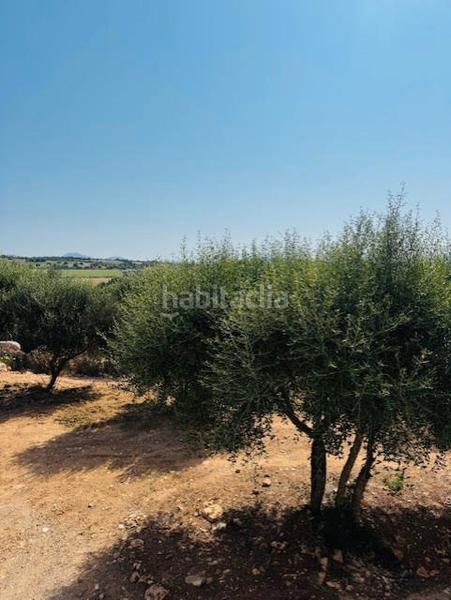 Foto c07ce006-bbcf-4837-a93a-6b00a1625143. Masía finca cerca en Manacor centre Manacor