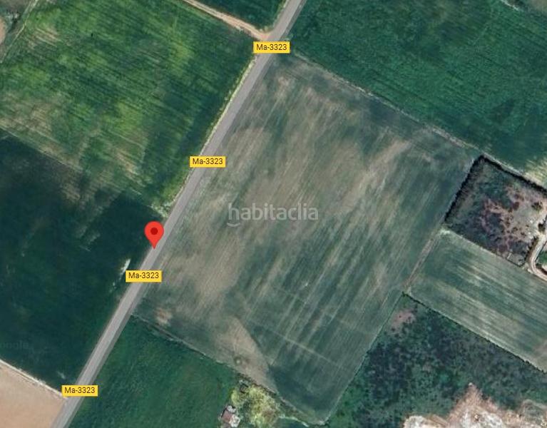 Foto 5130cbf1-36b6-4ffa-ba48-e2618cb97118. Fondo rustico in Manacor centre Manacor