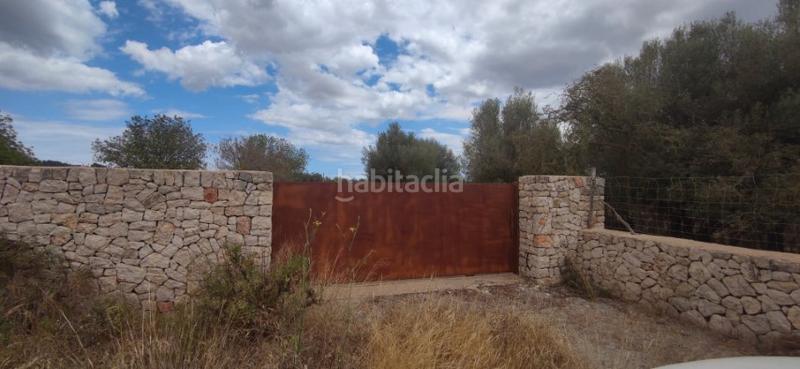 Foto 05822cff-c8f8-42d4-9396-2881a223b5d2. Masia a Manacor centre Manacor