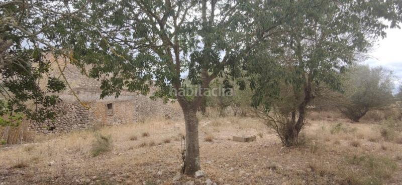 Foto 15db1ef7-96bb-497c-a894-11bf5f2fbfad. Masia a Manacor centre Manacor