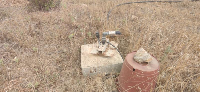 Foto 43ee24b5-a477-404b-9458-6fffc13fab8a. Masia a Manacor centre Manacor