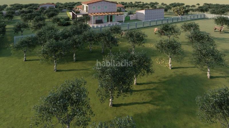 Foto e266fa95-9b33-4992-ba06-8db727239caf. Masia a Manacor centre Manacor