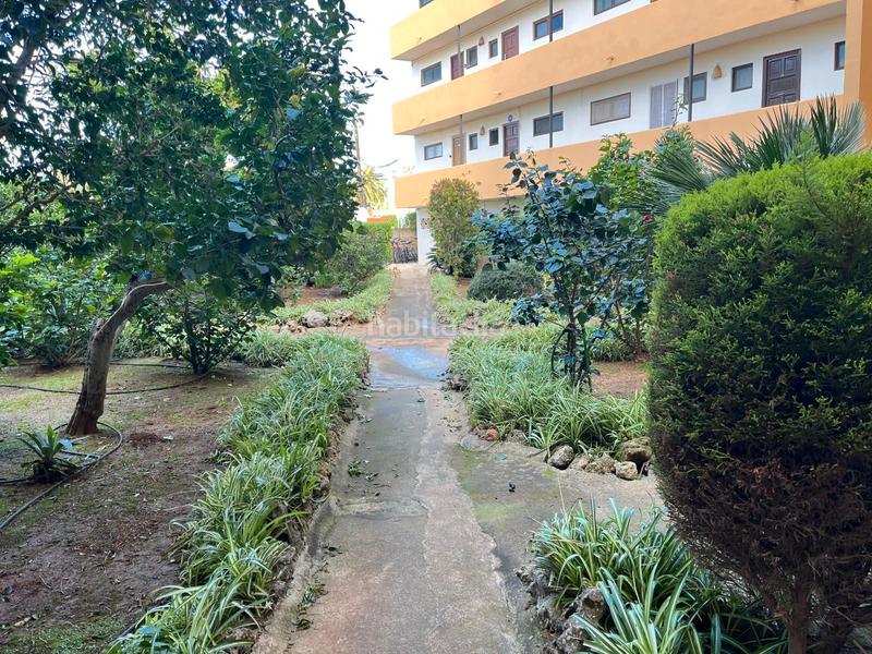 Foto 2cab7bb9-82b3-4ca7-806f-16b6fca0fcf7. Alquiler apartamento precioso apartamento en alquiler de hasta 11 meses en Cala Millor en Son Servera