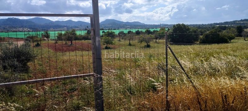 Foto 1d3c567e-5fb9-47c1-908e-5036e4d701bb. Residential plot in Manacor centre Manacor