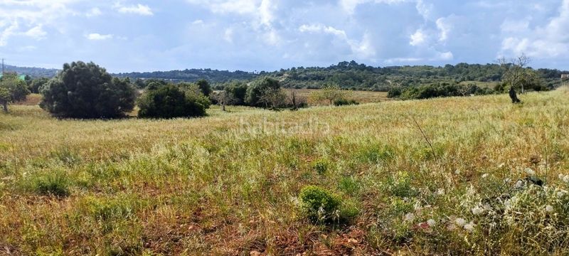 Foto 280159eb-dcf7-48db-8095-d65d6a111324. Residential plot in Manacor centre Manacor