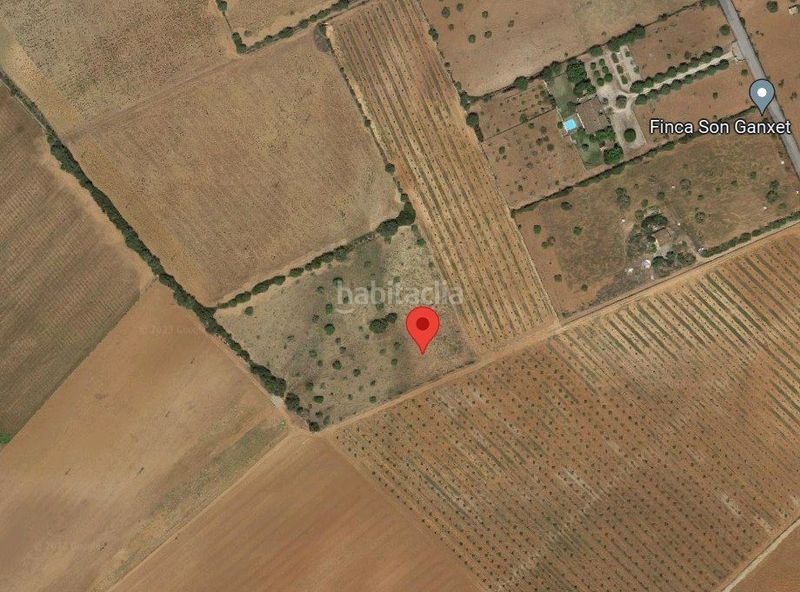 Foto 6f1657a5-9a21-4c1a-a28f-d96352253517. Residential plot in Manacor centre Manacor