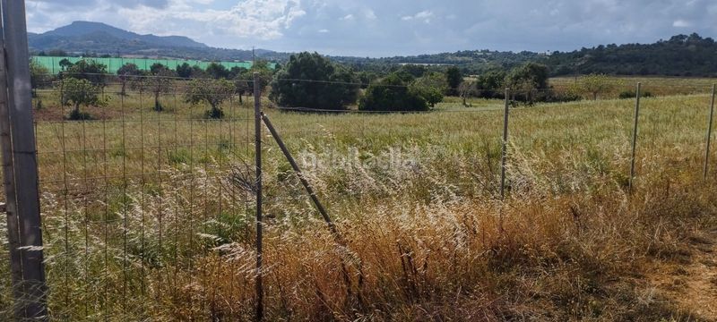 Foto 6f7516eb-3f1a-4047-bae7-ce29b48cc951. Residential plot in Manacor centre Manacor