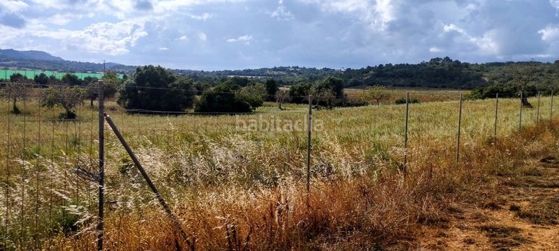 Foto e162d99f-b801-4c7a-9d56-63cb3cce08f9. Residential plot in Manacor centre Manacor