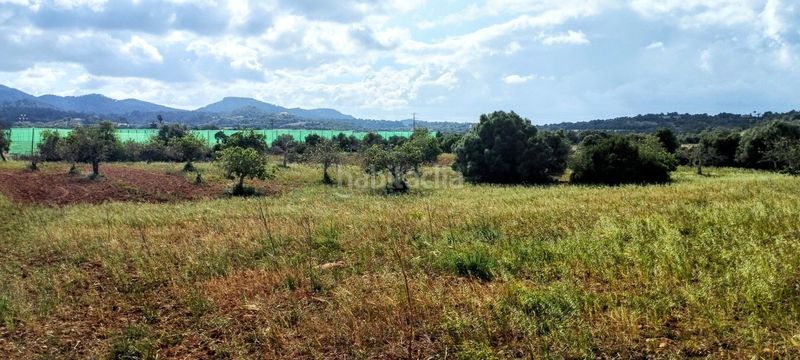 Foto ec83b876-f830-4455-84dd-7bd5aaeab5ce. Residential plot in Manacor centre Manacor