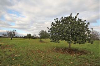 Terreno residenziale in Cala Magrana-Cala Anguila-Cala Mendia