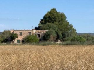 Mas à Manacor Centre