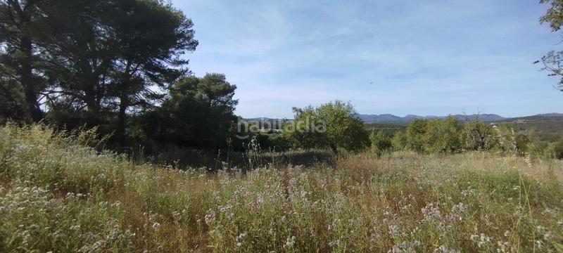 Foto 67f73507-4f61-4739-a797-542219b2f175. Finca rústica a Manacor centre Manacor