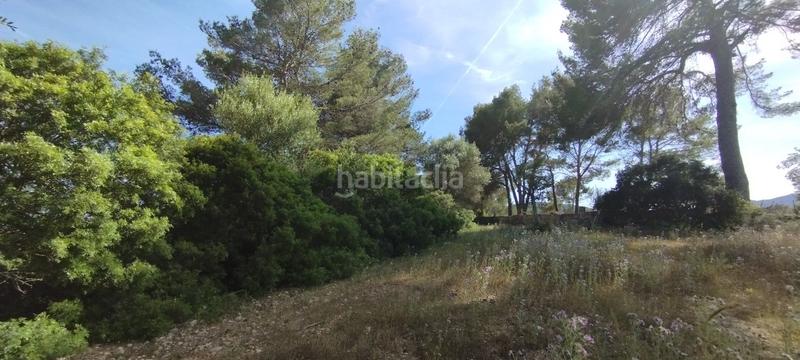 Foto 6a502e90-541f-4a1d-b49d-303f95b764d9. Finca rústica a Manacor centre Manacor