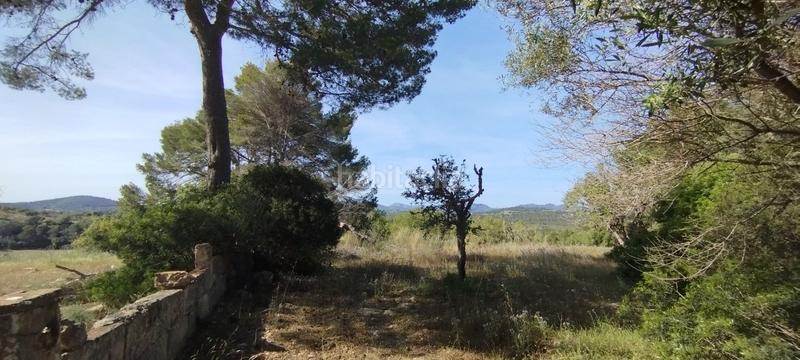 Foto 20e4f0a3-19a1-4572-9ae5-9093ef35afd9. Finca rústica en Manacor centre Manacor