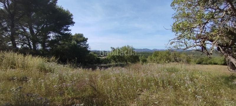 Foto 9ef54466-9d1a-4606-a91c-fd704dcc5dff. Finca rústica en Manacor centre Manacor