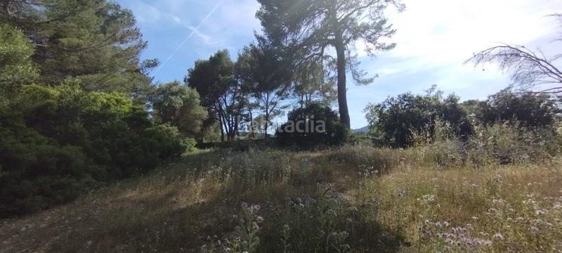 Foto d0115927-f87b-4b91-924e-d1dd5fdc0cba. Finca rústica en Manacor centre Manacor