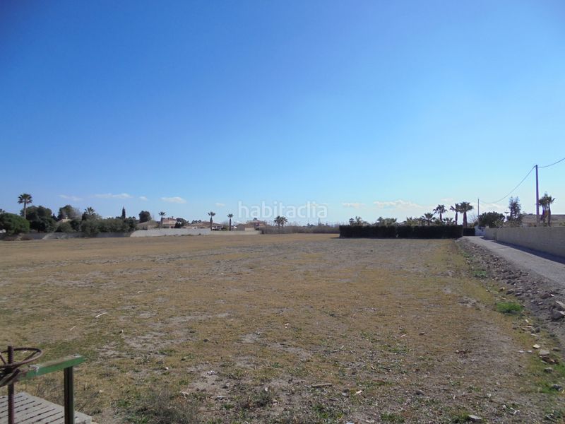 Foto 487fcf5b-a26c-41b6-b4ab-03e7774b24db. Finca rústica a camino de la borda 41 a Catral