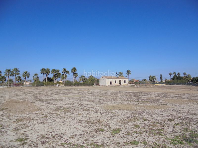 Foto 7022b78d-67c0-46c3-9712-baf091c2487f. Finca rústica a camino de la borda 41 a Catral