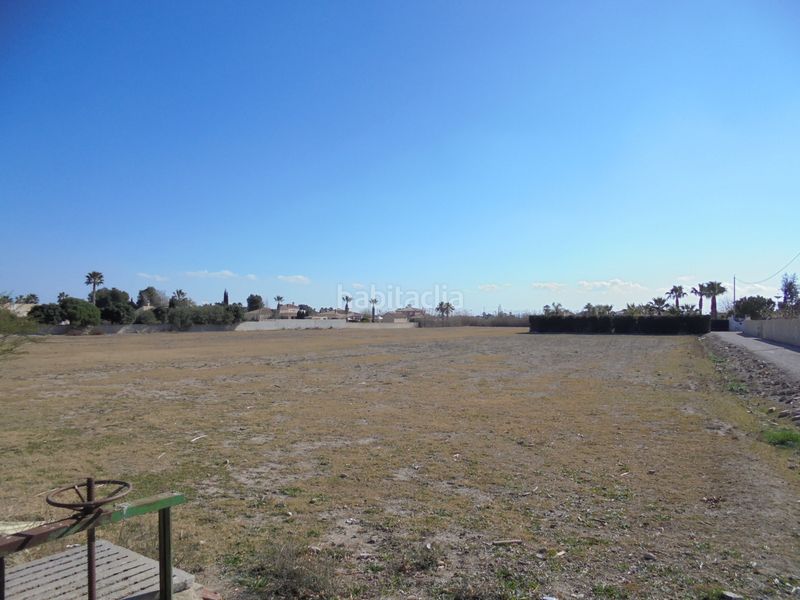 Foto 8df56b08-74a2-4f88-a7ab-680952545512. Finca rústica a camino de la borda 41 a Catral