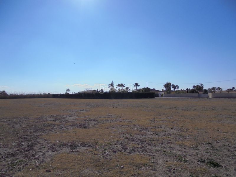 Foto 8ffdddaa-09af-44fc-8578-c24635685c7f. Finca rústica a camino de la borda 41 a Catral