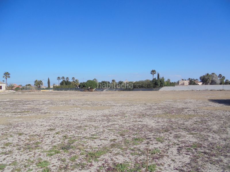 Foto 93056340-96a8-40ea-bdf3-d5d66a5e3523. Finca rústica a camino de la borda 41 a Catral