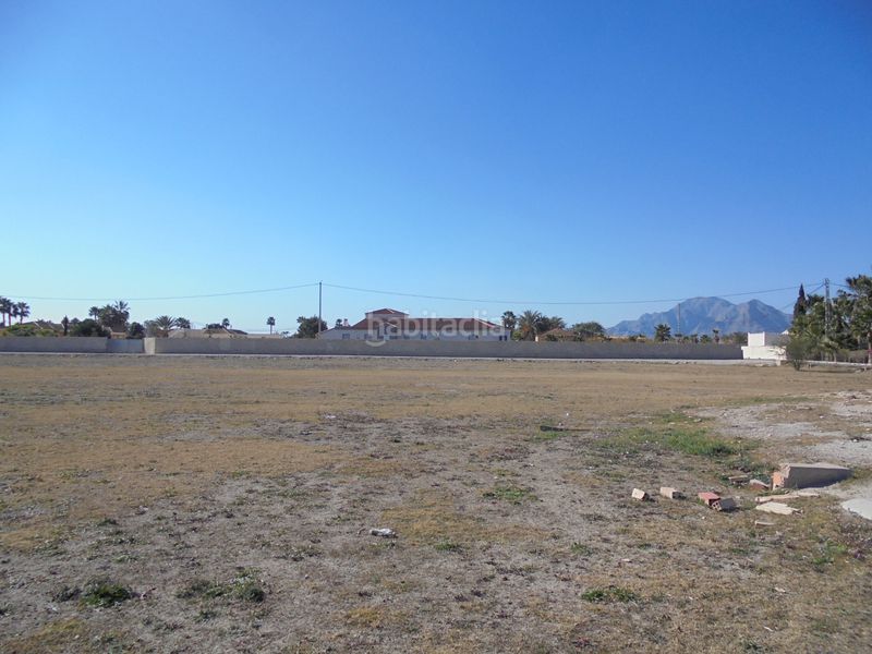 Foto cf65d878-75fd-4af5-8ac1-0e14b9b4d367. Finca rústica a camino de la borda 41 a Catral