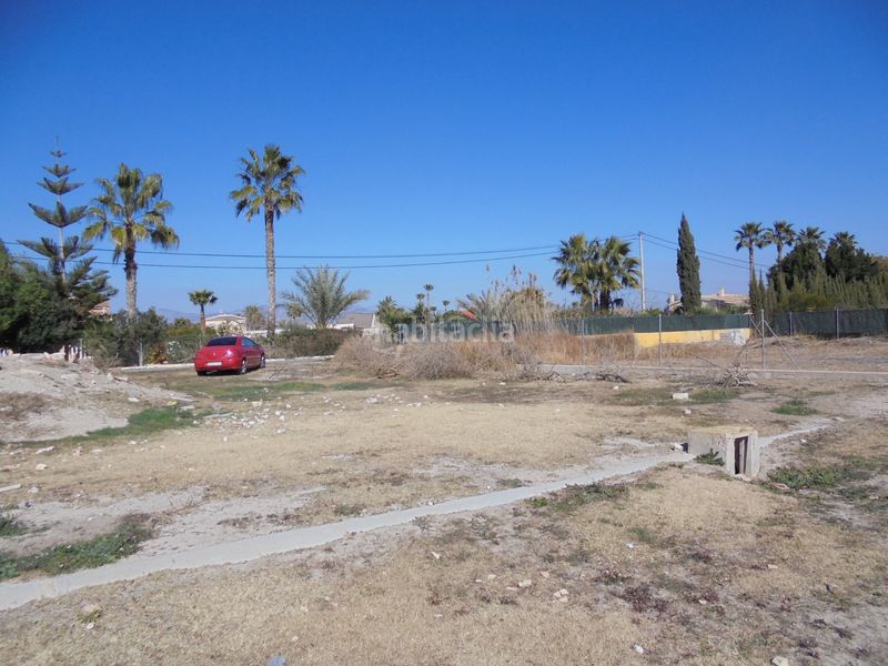 Foto f7030727-8cfd-4e6b-a1c5-fa84fa378e3f. Finca rústica a camino de la borda 41 a Catral